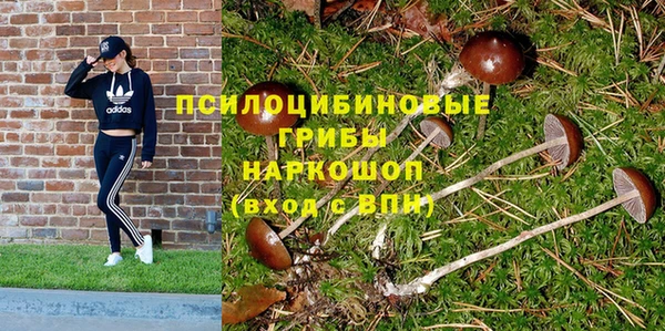 экстази Новокубанск